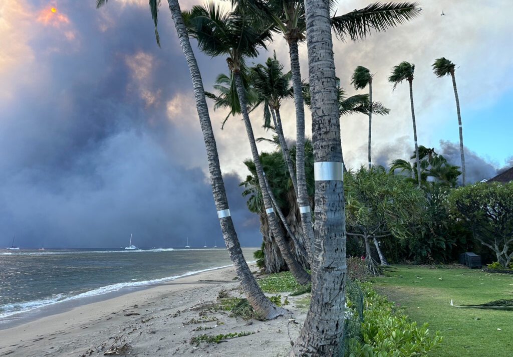 Lahaina Fires