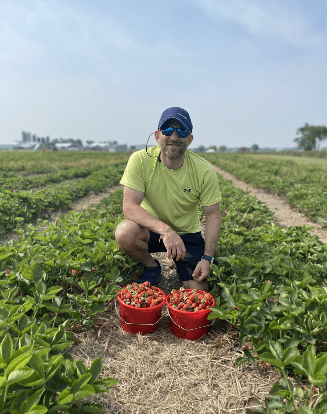 Photo from a strawberry farm